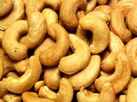 /album/castanha/images-jpg/